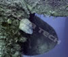 zenobia